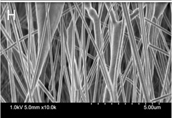 New bimodal scaffolds made from nanofibres placed top of biaxial aligned scaffolds