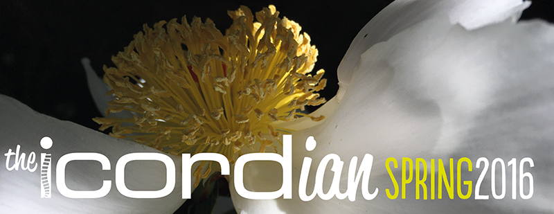 ICORDian header-Sp 16-web