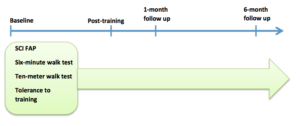 assessment timeline