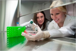 Dr. Willerth and a student at work in her Stem Cells Lab