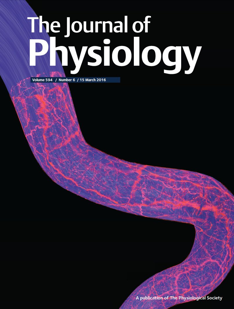 ICORD study on cover of Journal of Physiology | ICORD