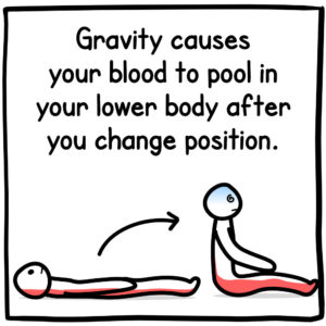 Gravity causes your blood to pool in your lower body after you change position